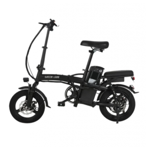 دوچرخه برقی گرین لاین Green Lion Electric Bike GBK-100 a